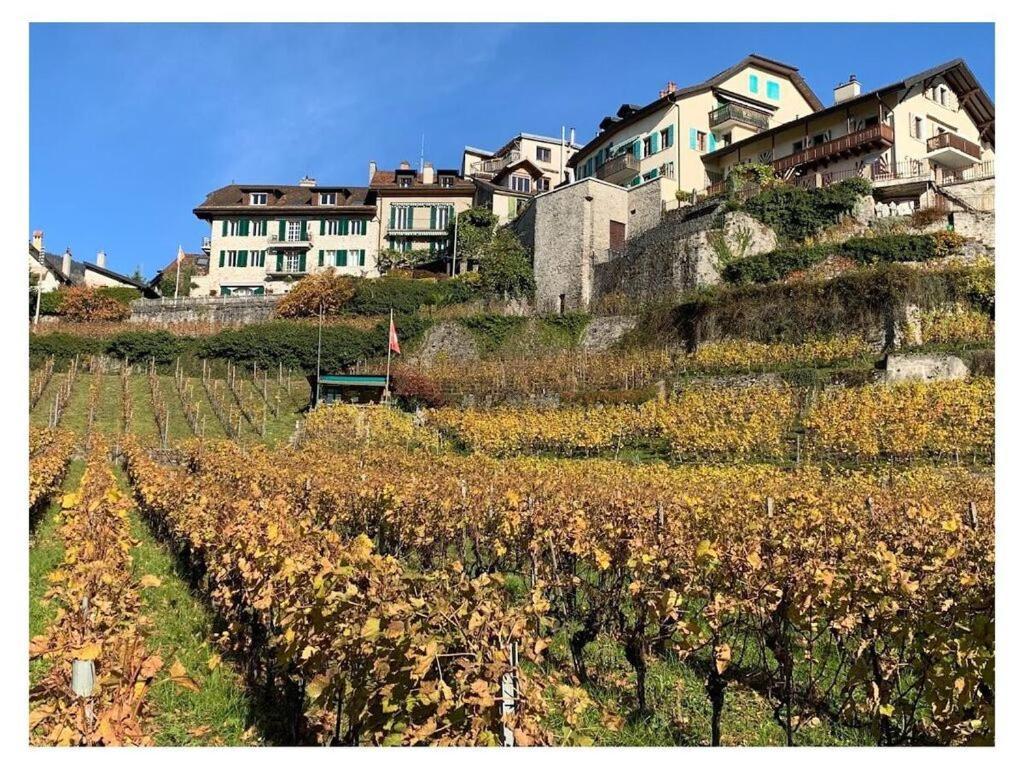 La Vigneronne, Uitzicht Op Het Meer Arlesheim Zewnętrze zdjęcie